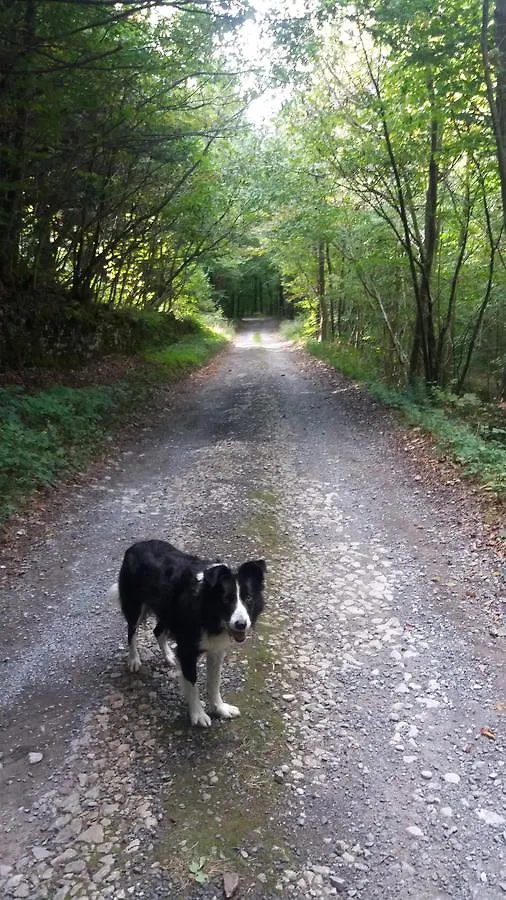 Plumtree House 3* Brigsteer