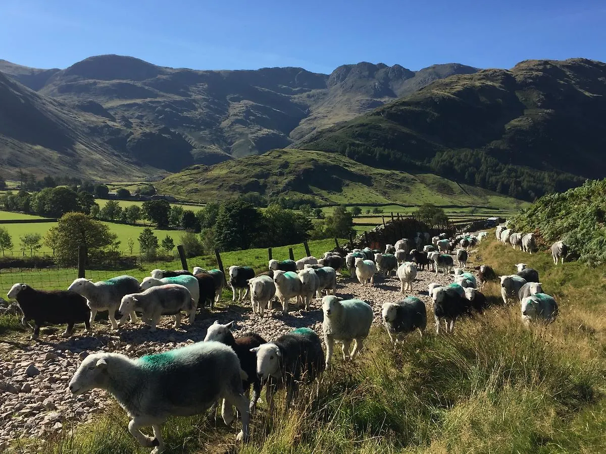 Hostal Elterwater Hostel *