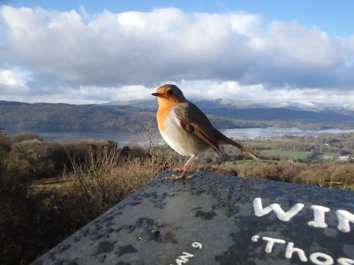 Haisthorpe 4* Windermere