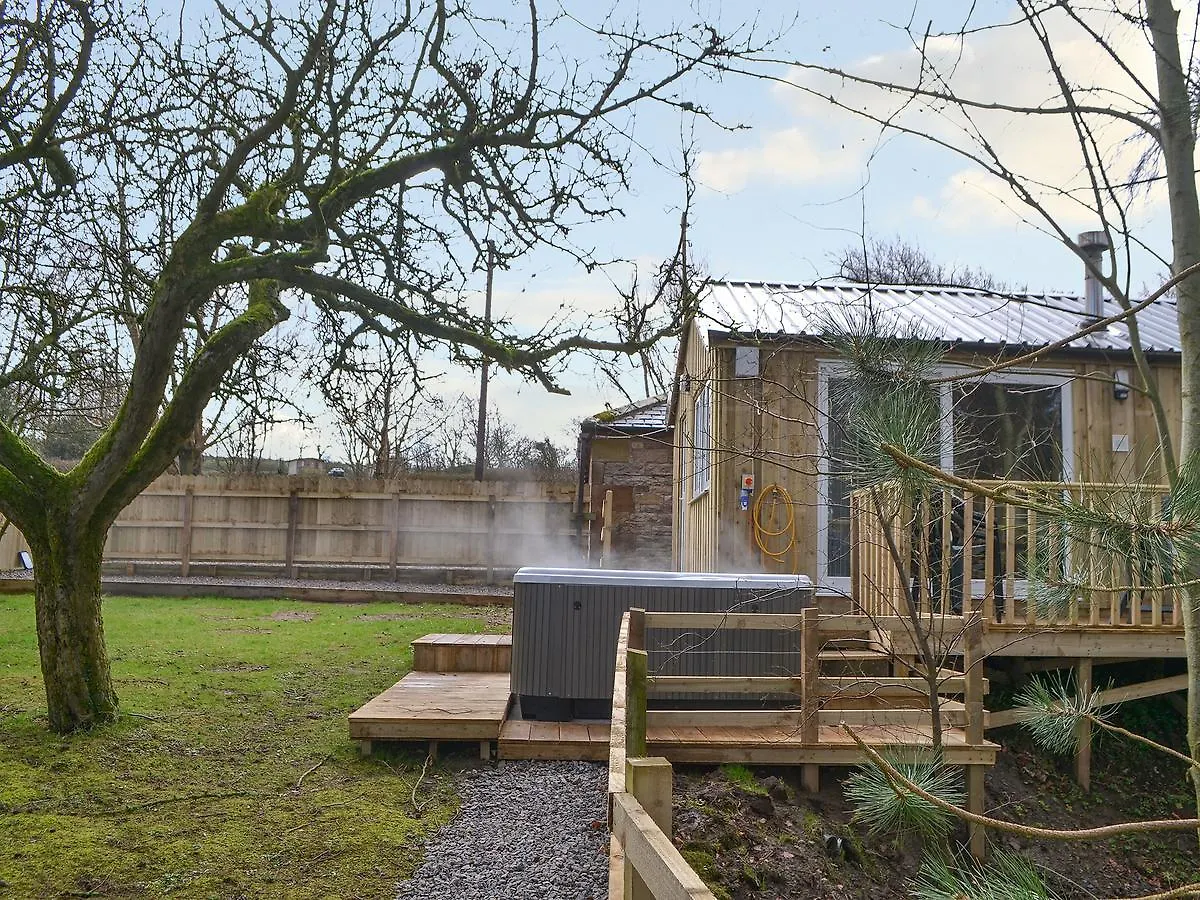 Treehouse Cabin 펜션 Westward