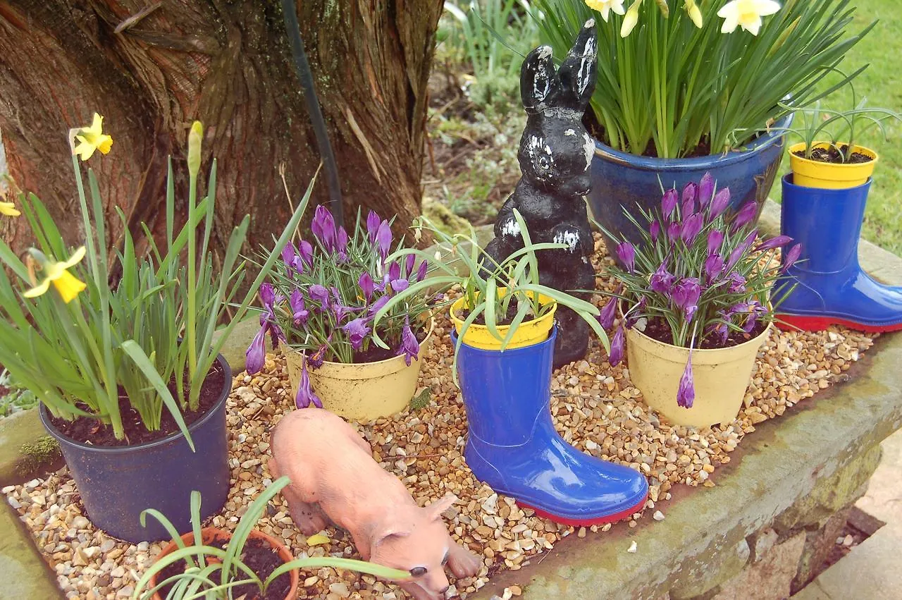 The Boot