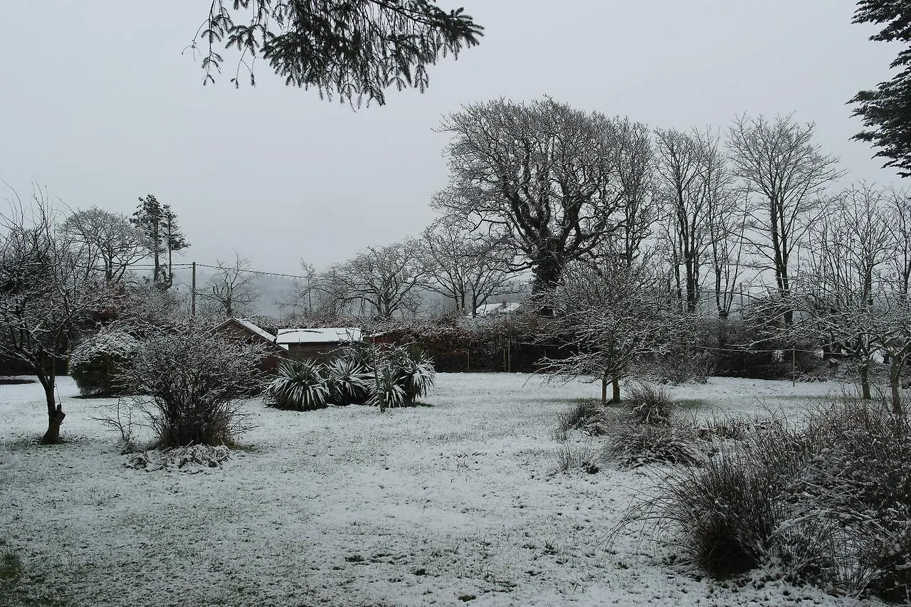 Carleton Green Holmrook
