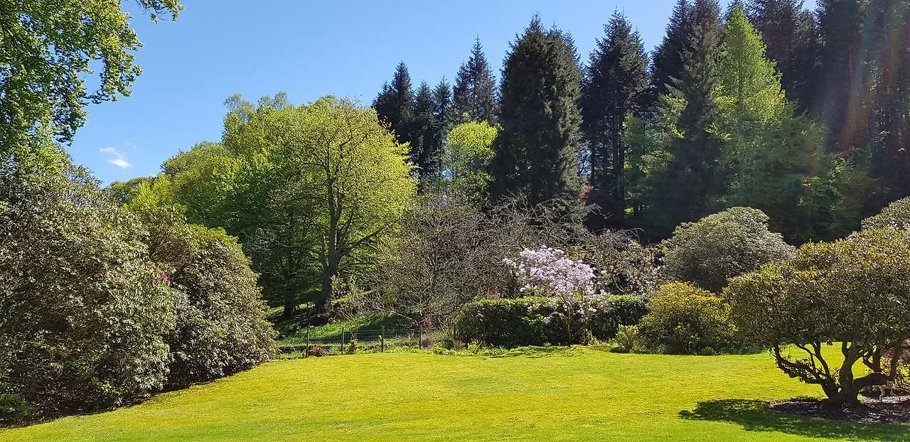 Bed and Breakfast Foxghyll