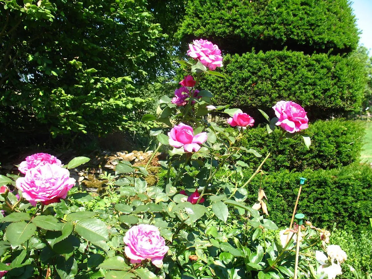 The Hill Bed & Breakfast Windermere