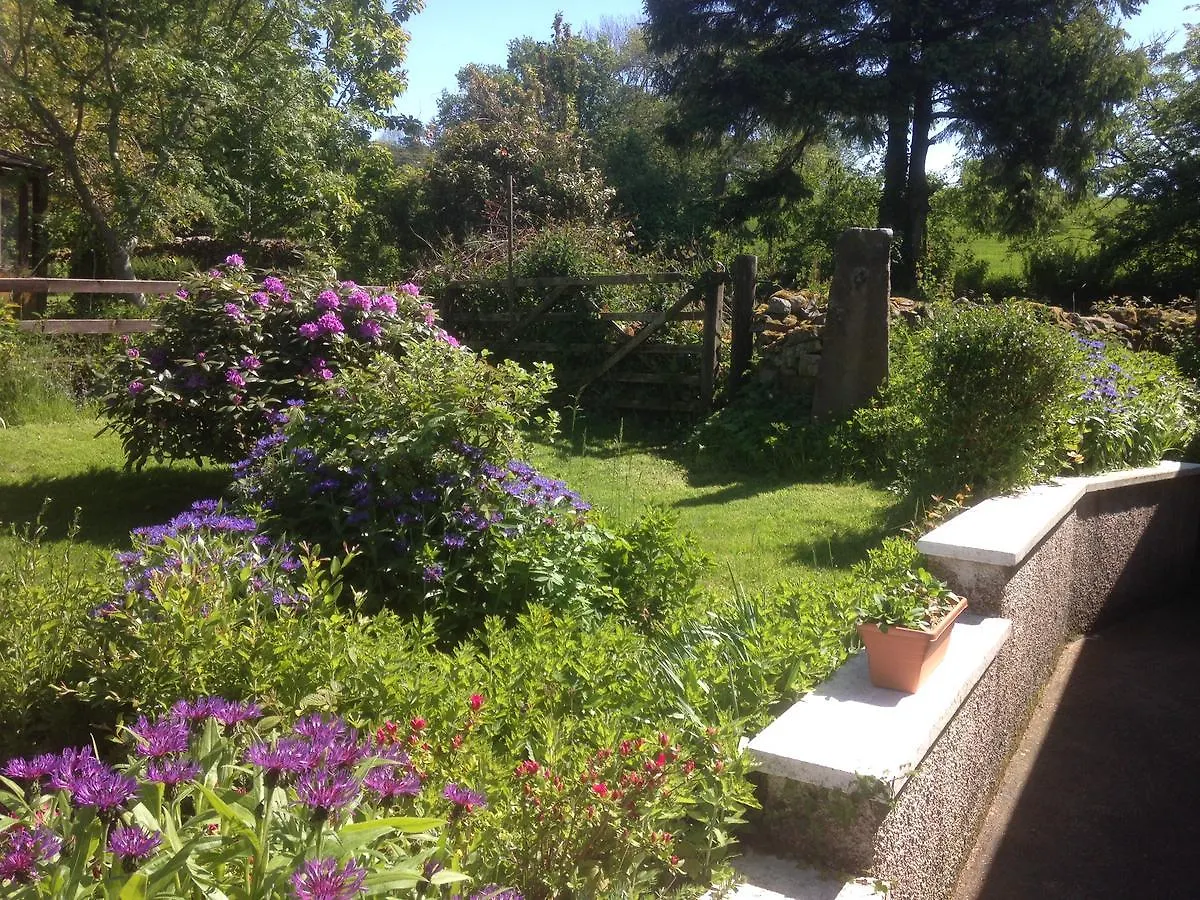 Bed & Breakfast The Head At Middleton 2*