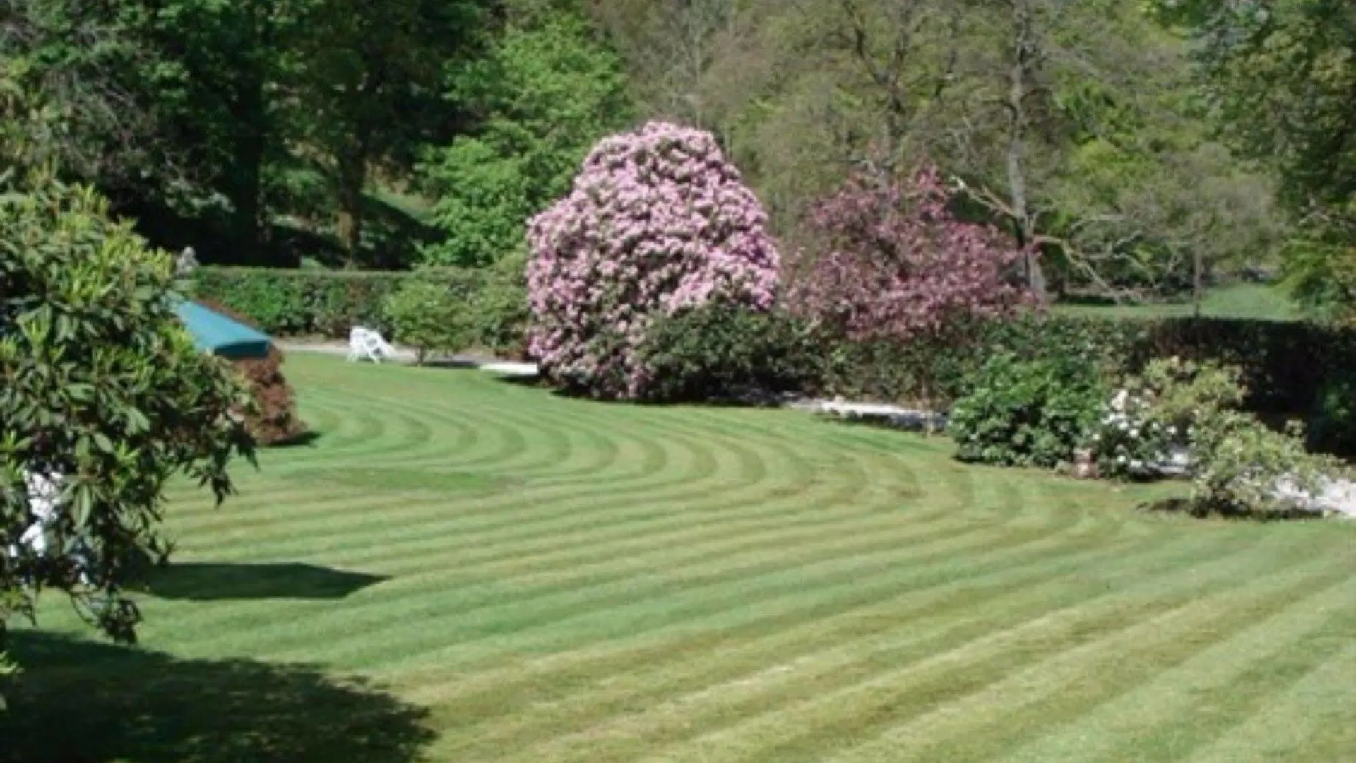 Foxghyll