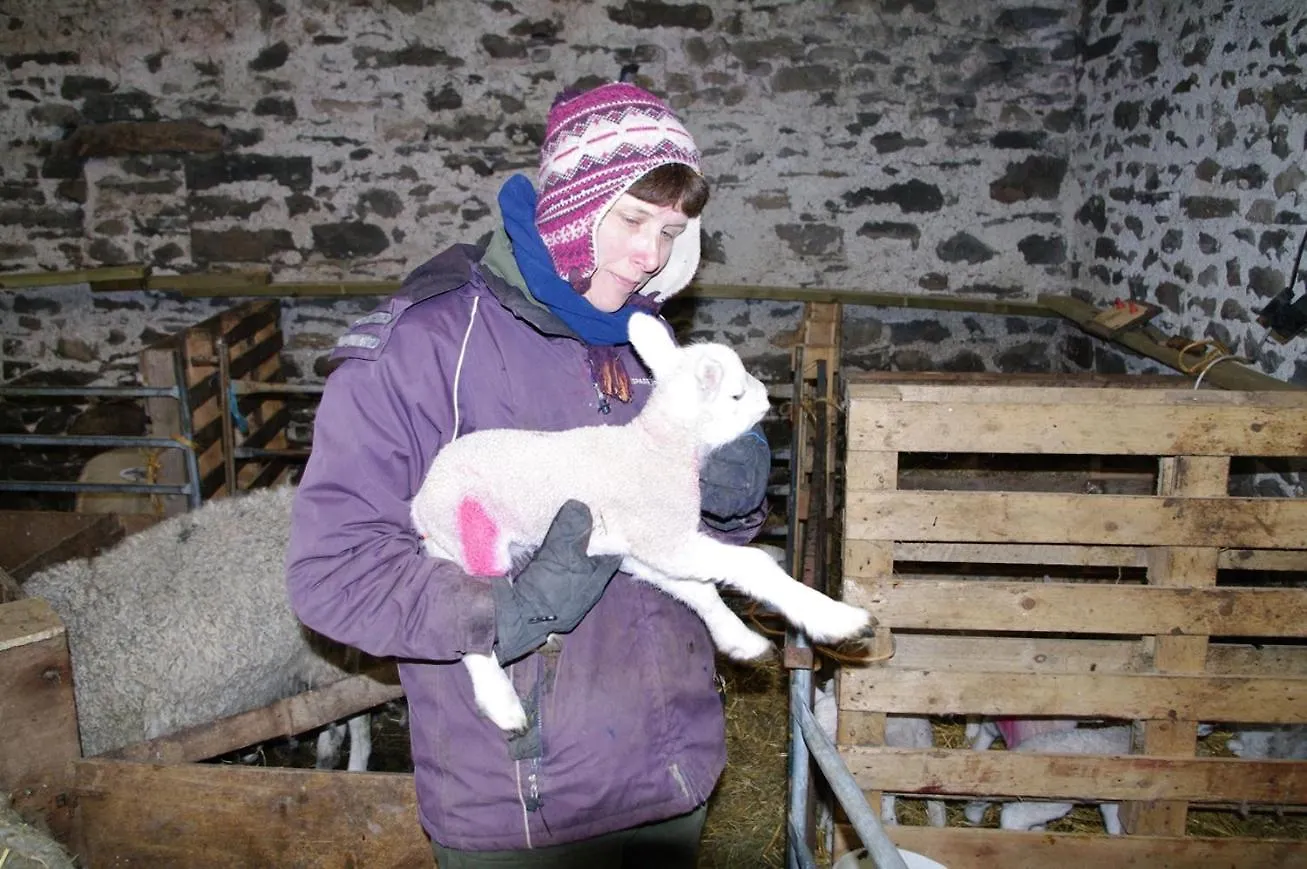 Ullathorns Farm Farm stay Kirkby Lonsdale