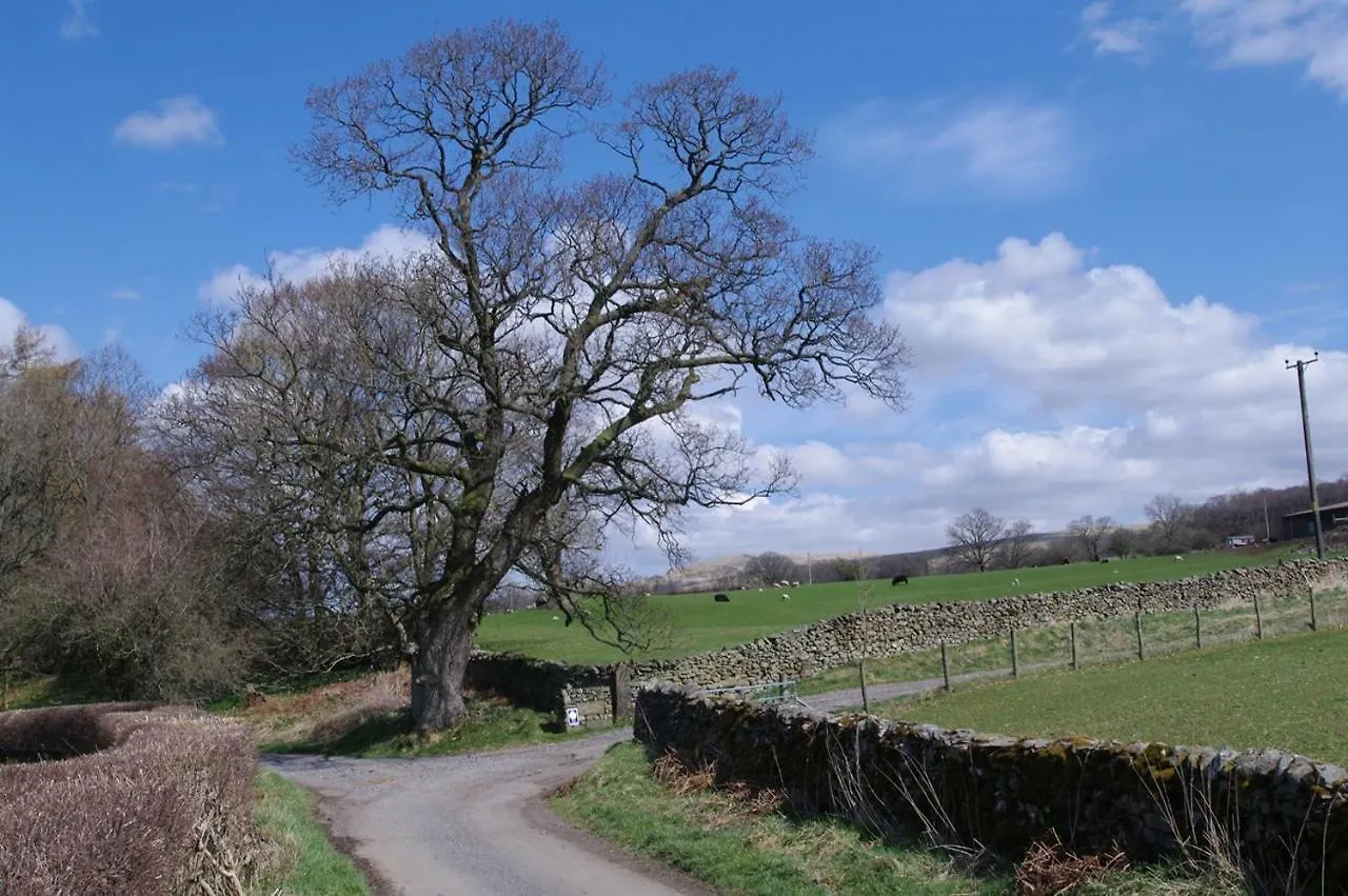 Ullathorns Farm Gospodarstwo agroturystyczne Kirkby Lonsdale