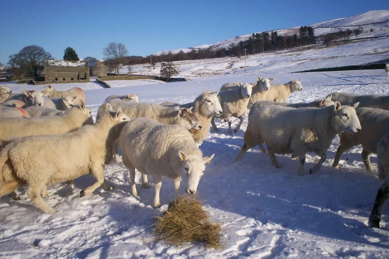 Ullathorns Farm * Kirkby Lonsdale
