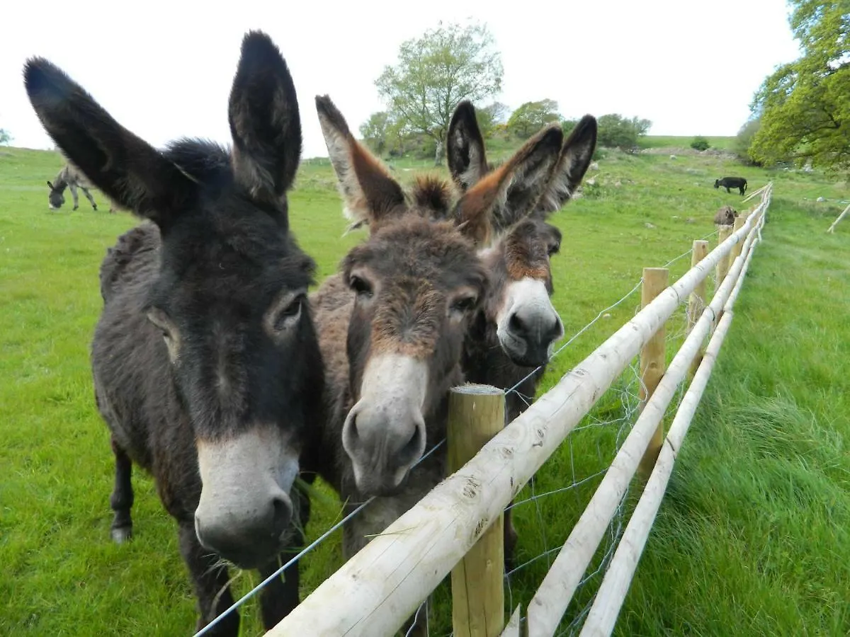 Parkgate Farm Holiday park *
