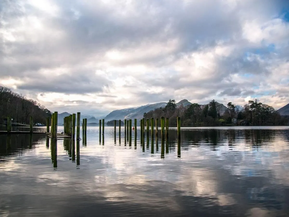 Bracken - Burnside Park Keswick (Cumbria)