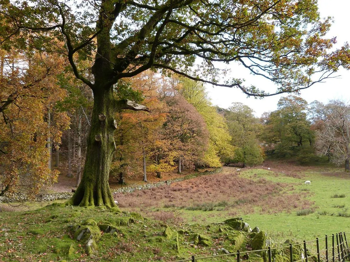 Ellie's * Ulverston