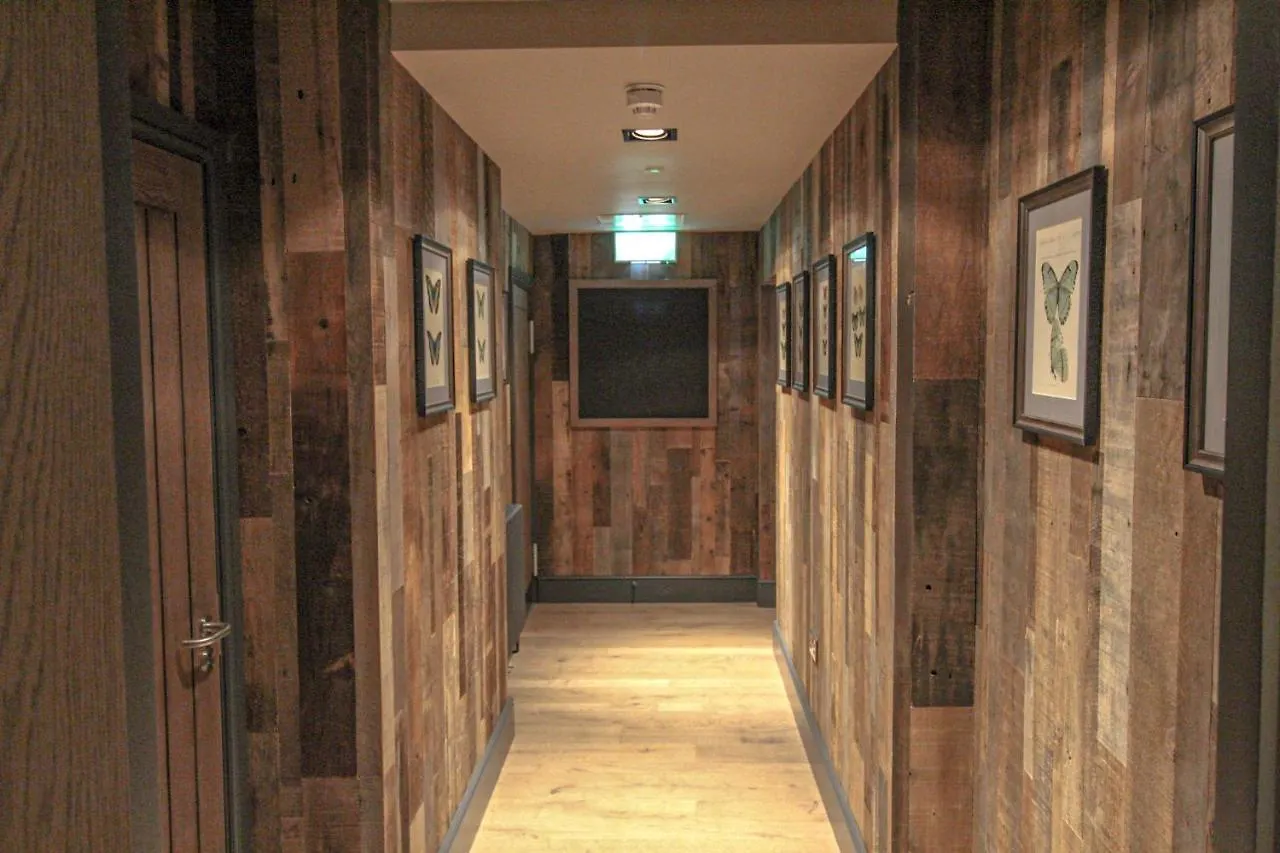 Inn The 3*