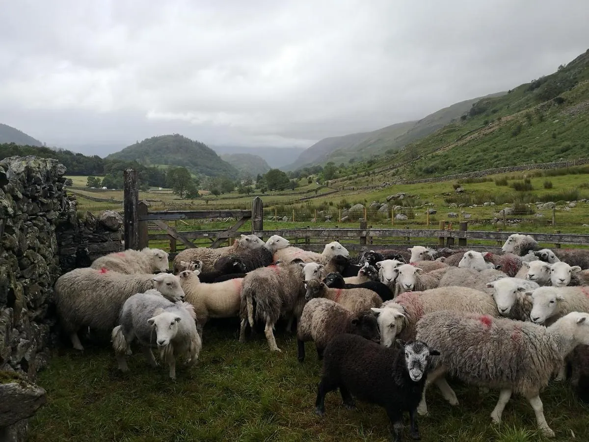 Stybeck Farm *