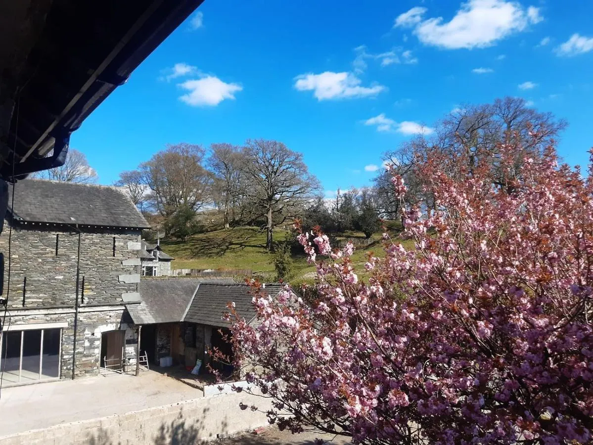 Bed & Breakfast Crow Country 4*