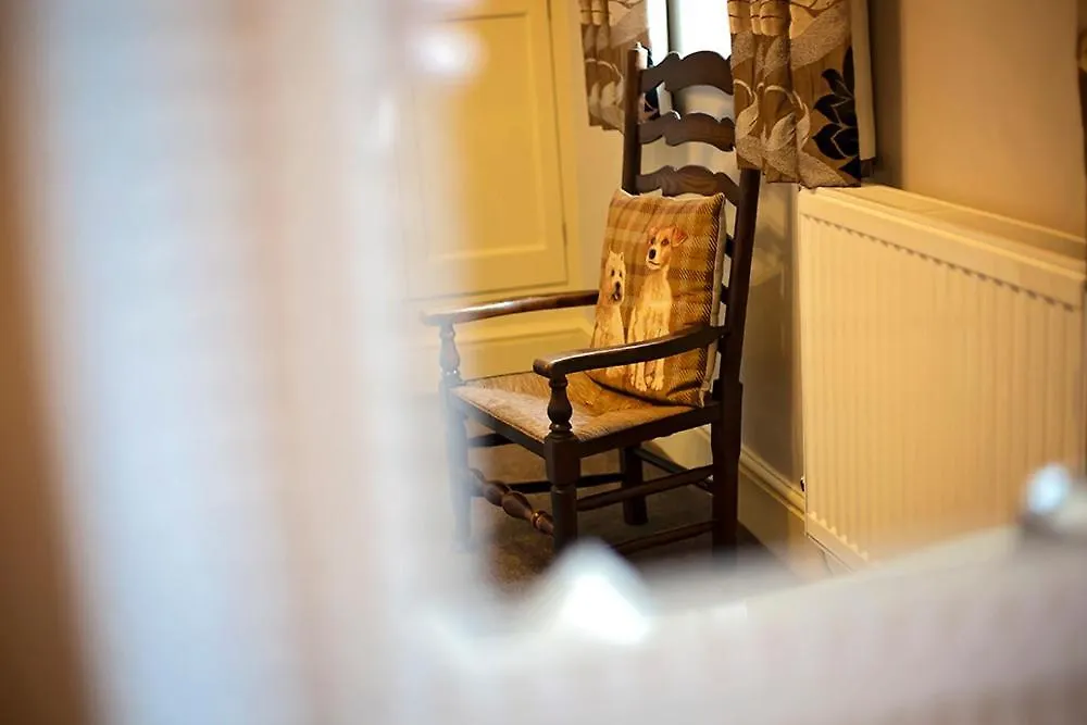 Fir Trees Bed & Breakfast 4*
