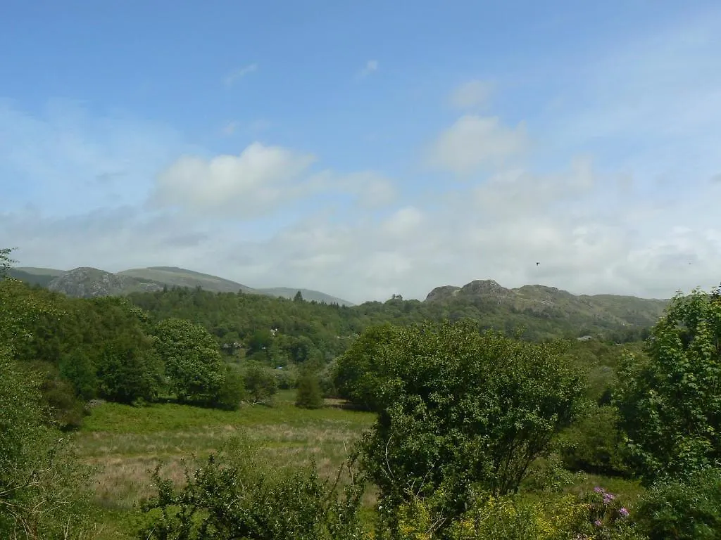 بيت ضيافة Forest