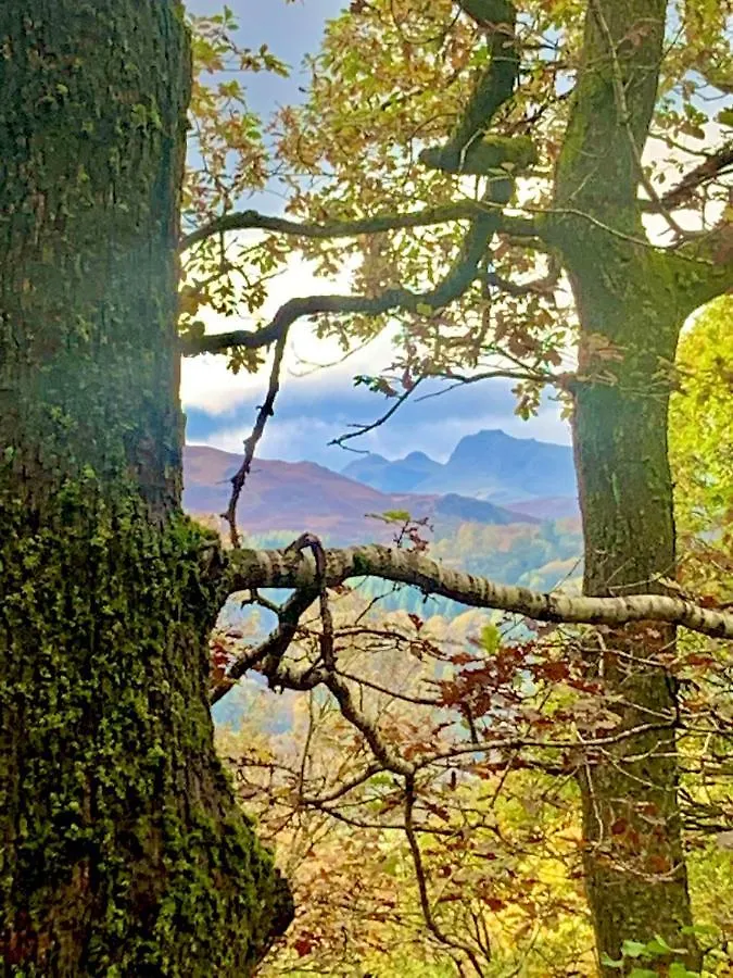 Hillsdale In Konukevi Ambleside