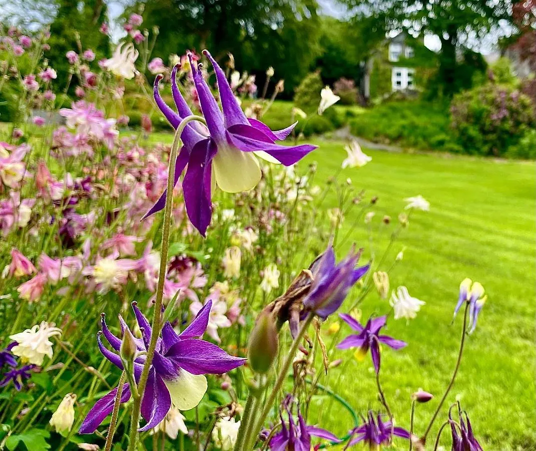 Crow Country 4* Ambleside