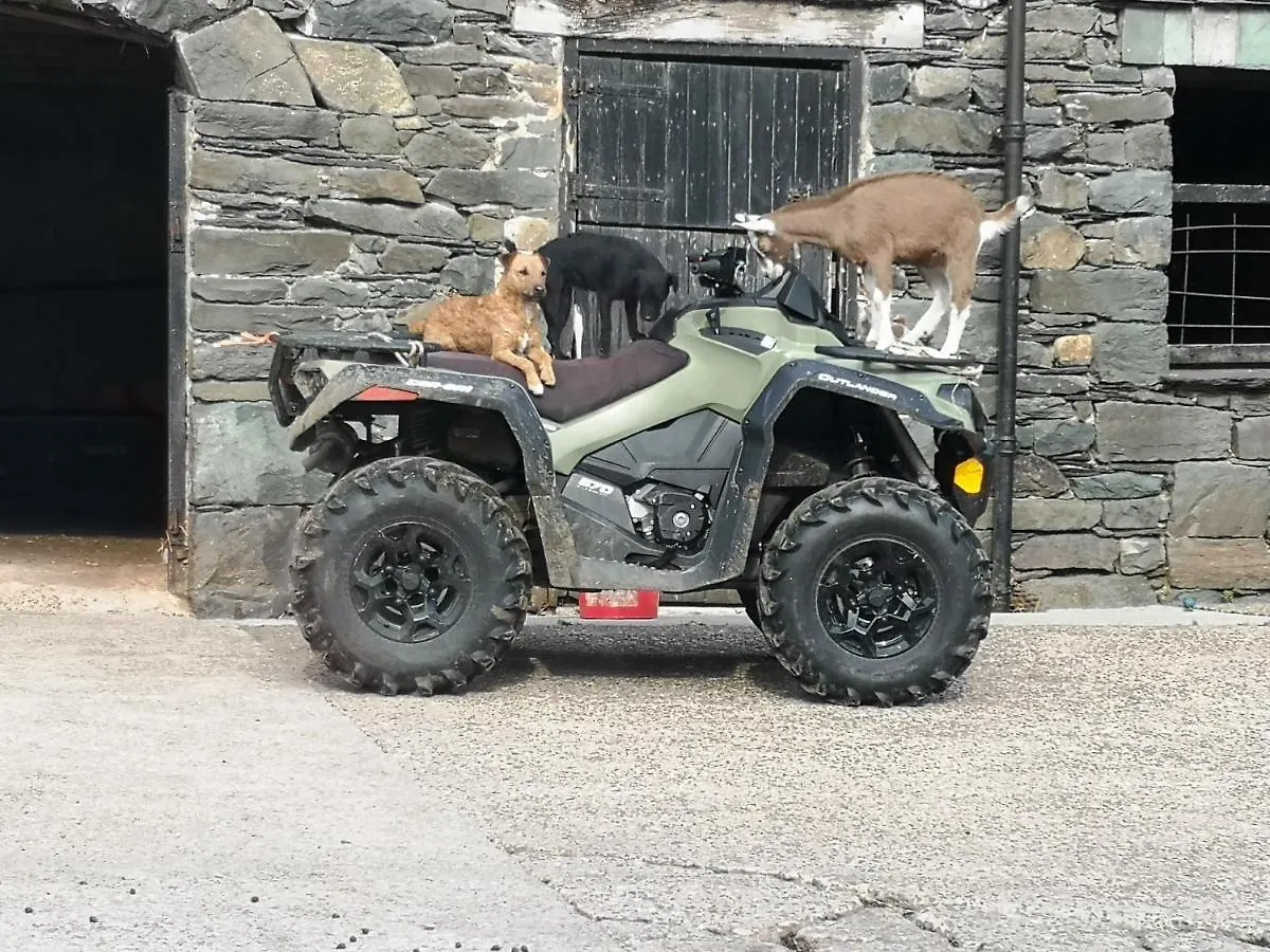 Stybeck Farm