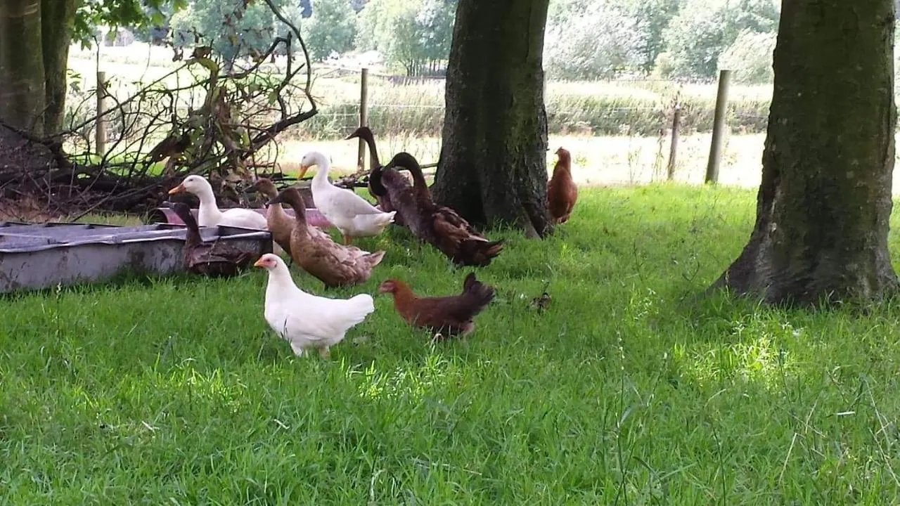 Farm stay Stybeck Farm