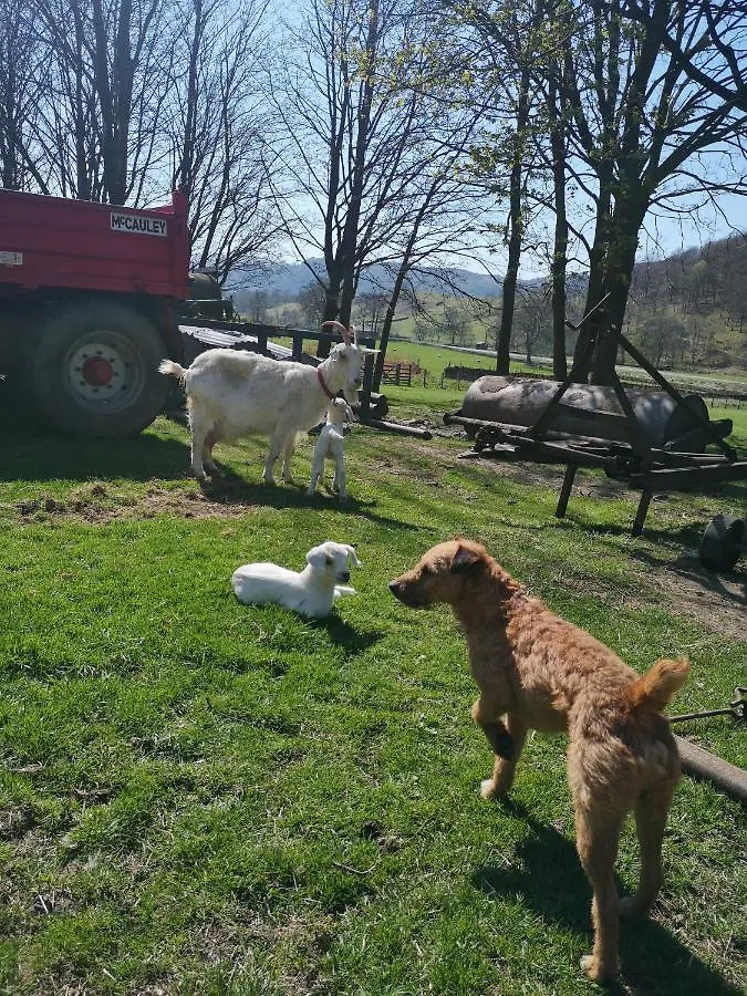 Farm stay Stybeck Farm *