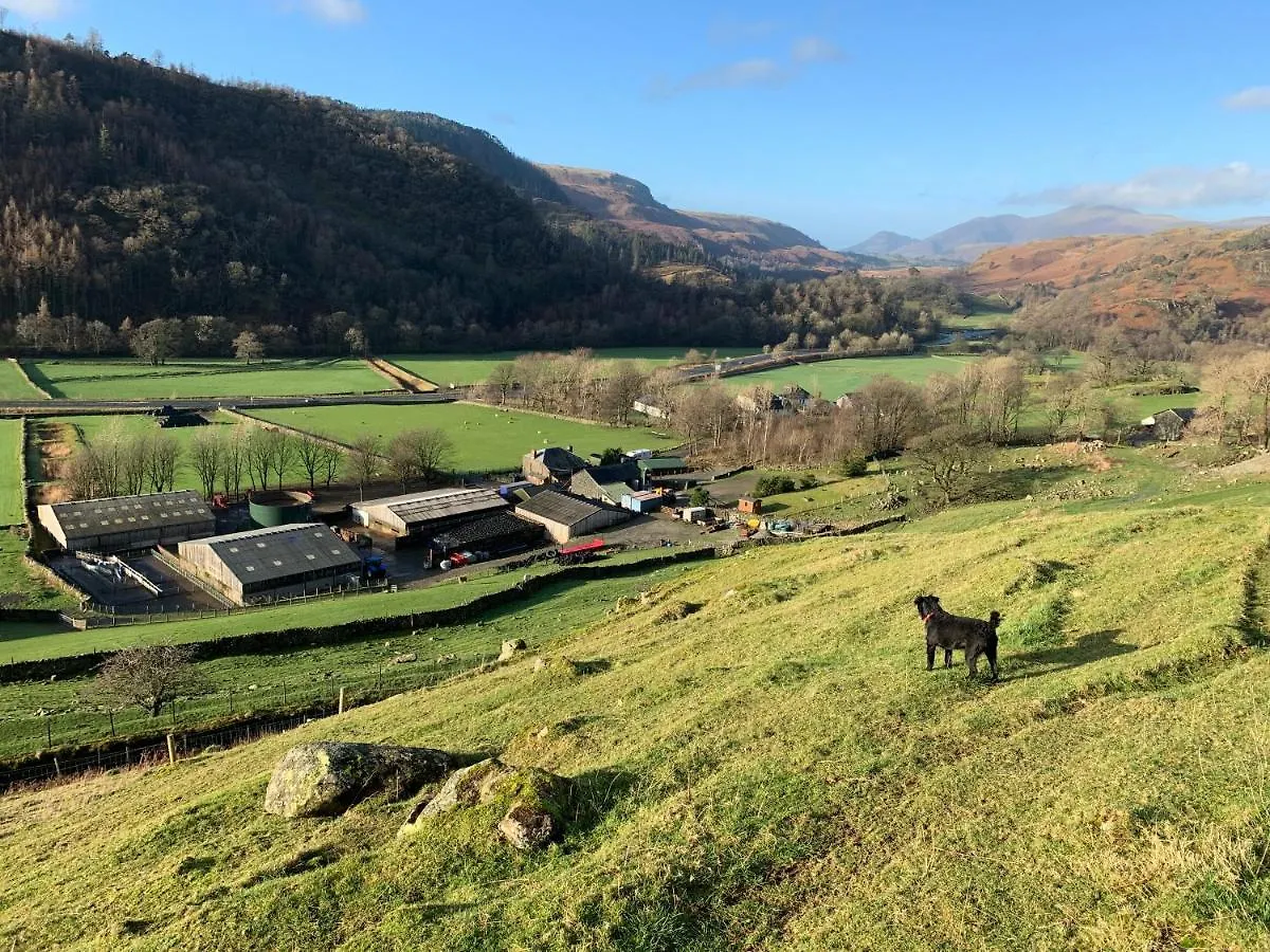 Farm stay Stybeck Farm *