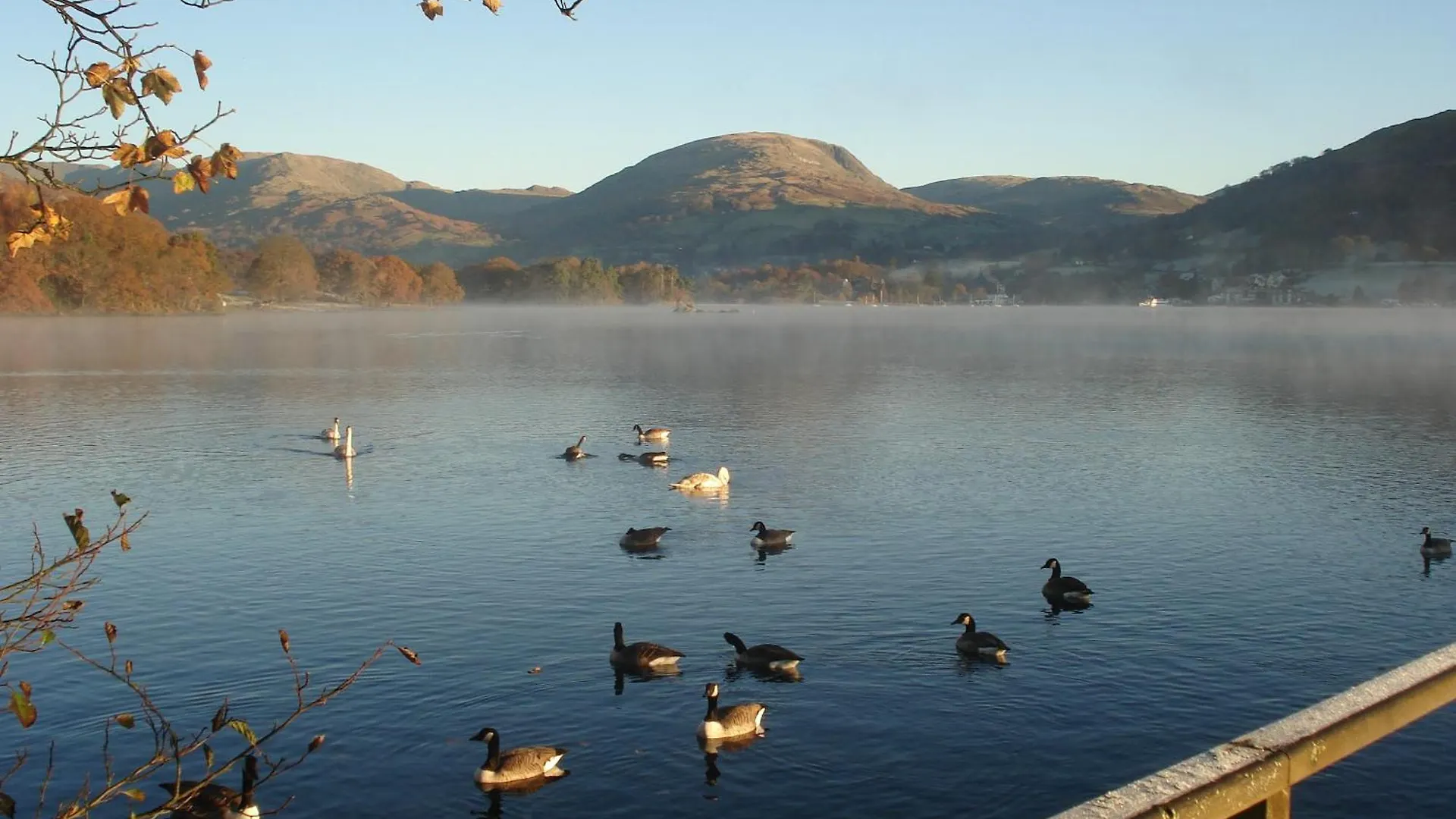 Gæstehus Autumn Leaves Windermere