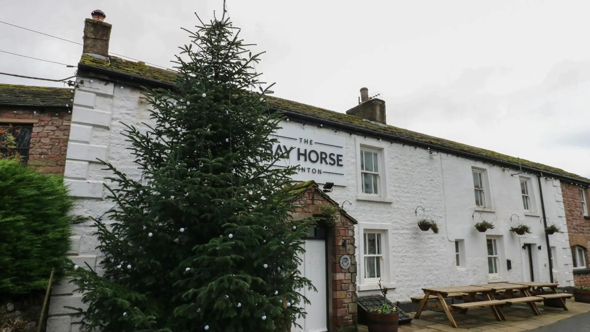 Lime Tree Kirkby Stephen