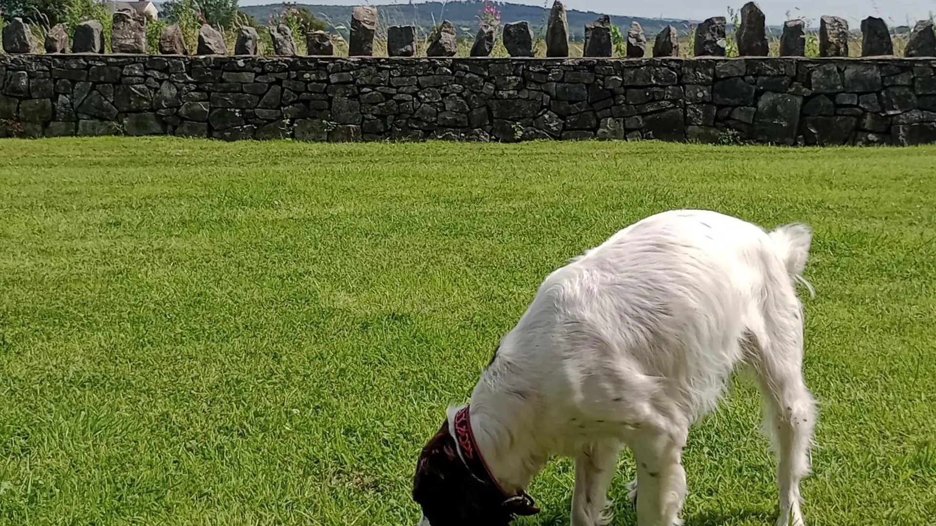 Sunnyside Farm Grange-over-Sands