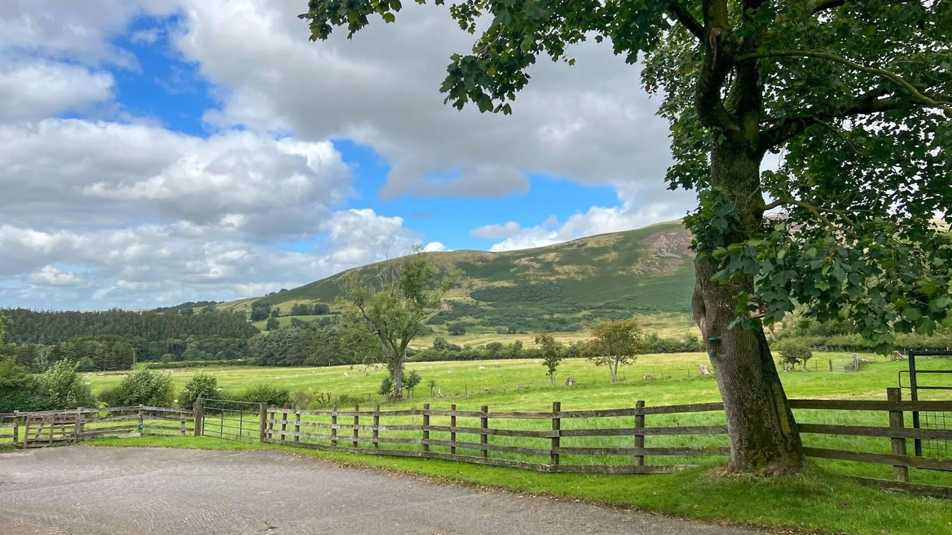Fell View *