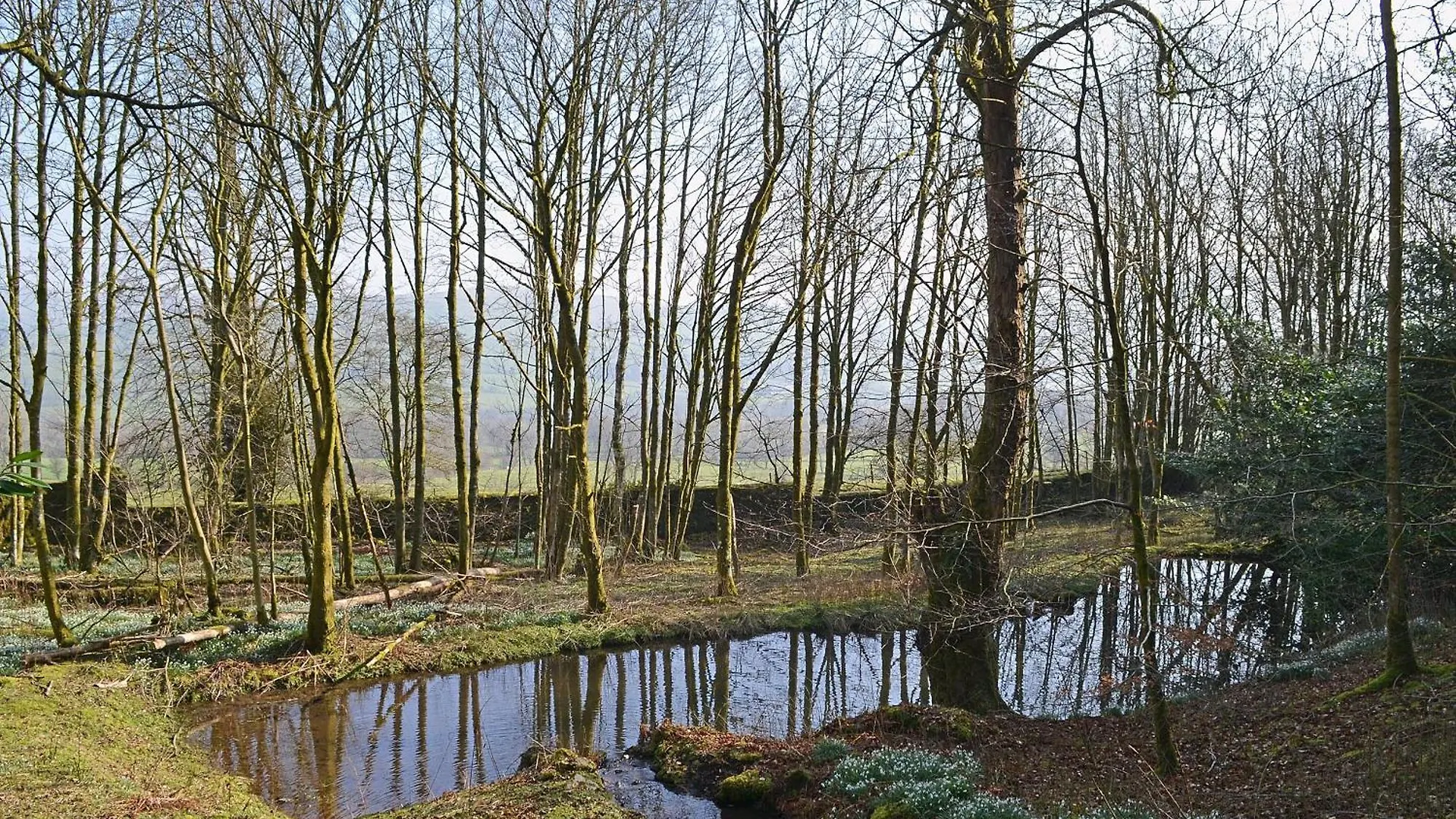The Old Stables Uldale