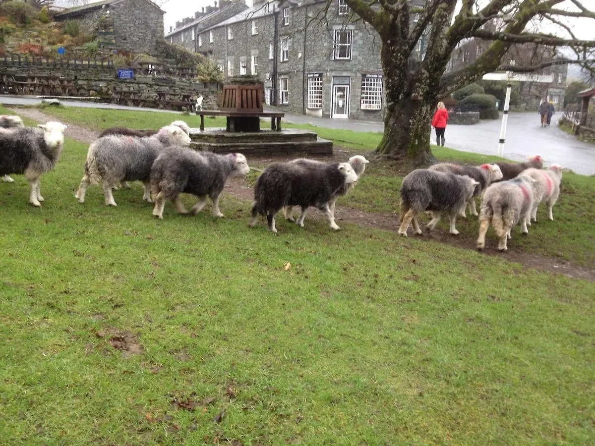 Cosy In Centre Of District National Park Chapel Stile