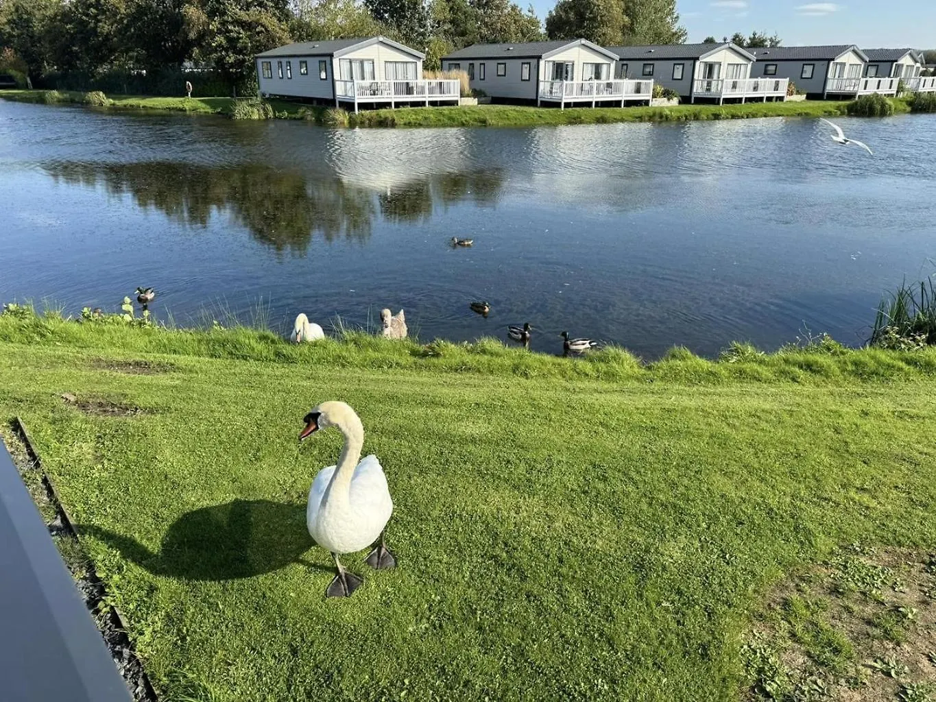Holiday park Lakeside Location, Sleeps 8, 3 Bedrooms, Fully Glazed Wrap Around Decking, Haven Lakeland, District Flookburgh