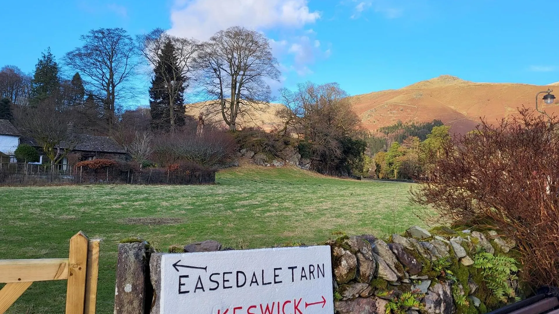 Holly Grasmere