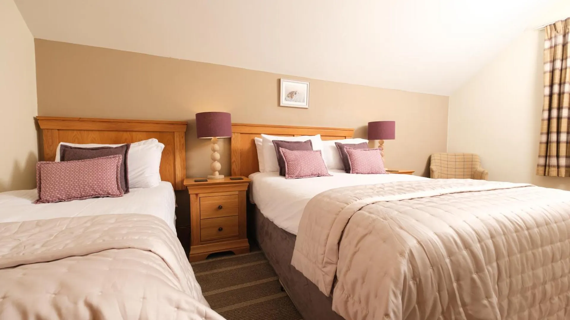 The Coledale