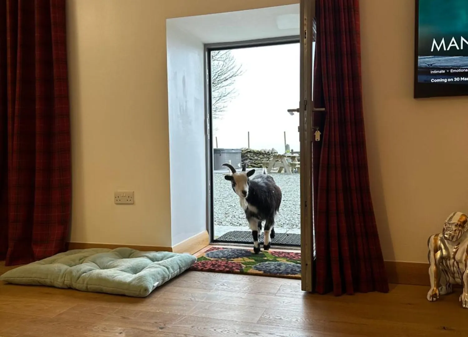 Holiday home Lower Carhullan Penrith