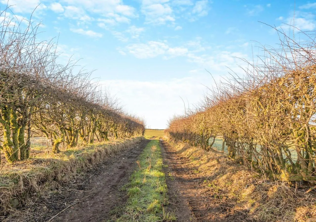 Prázdninový dům Farm - *
