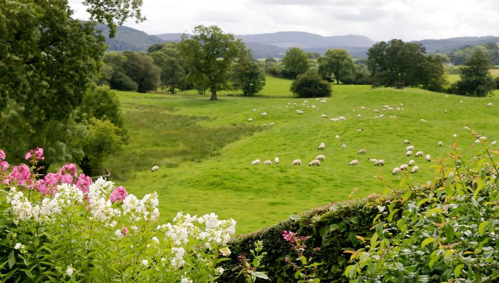1 Bed In Outgate And Tarn Hows Llh50 Holiday home *
