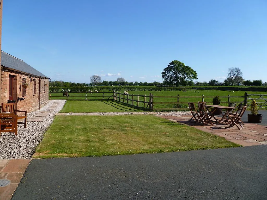 Affittacamere The Ginney Country