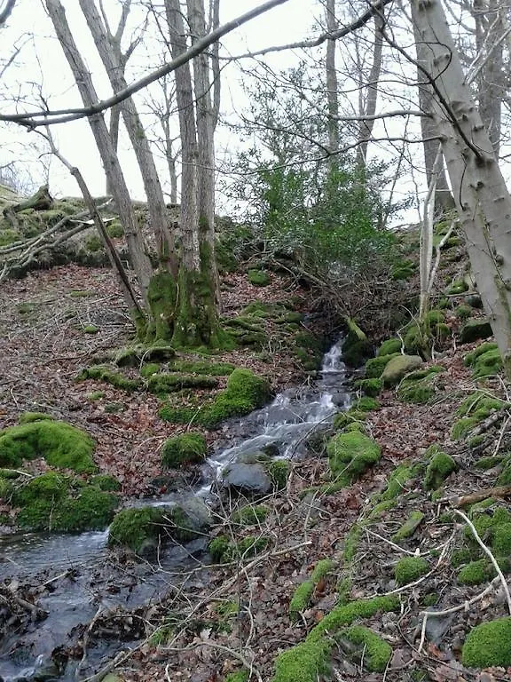 The At High Gregg Hall Farm