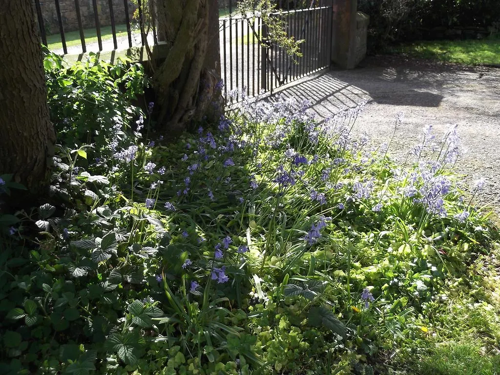 Bed & Breakfast Kirkpatrick House 4*