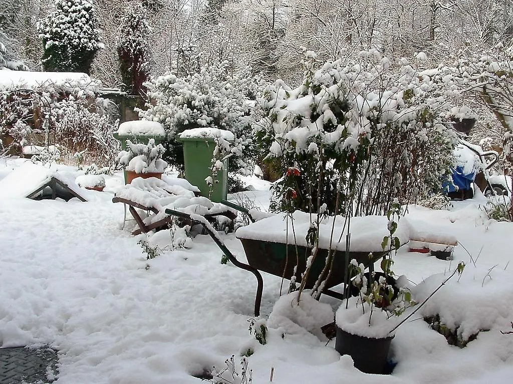 Gasthuis Holly