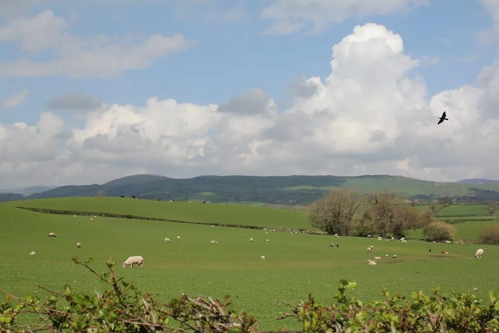 Daire Millcrest Holiday Let Kendal