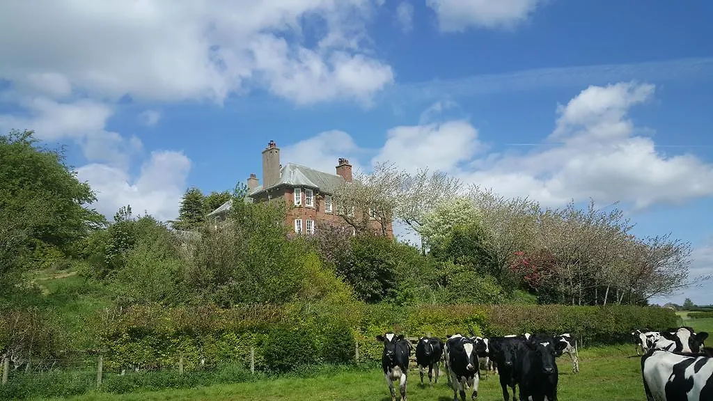 Clift Hill * Carlisle (Cumbria)