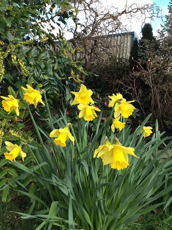 Crosslands Farm Guest house 4*
