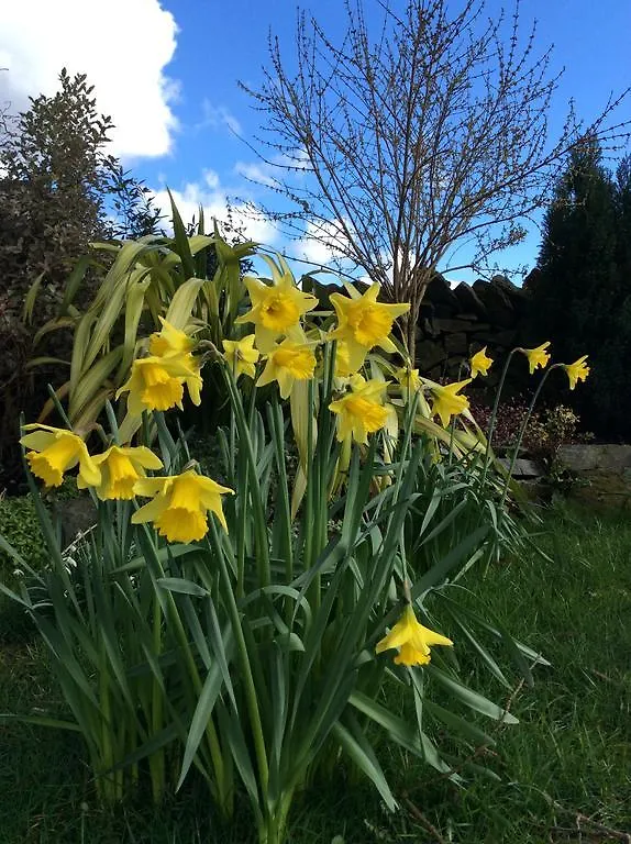 Crosslands Farm Guest house Kendal