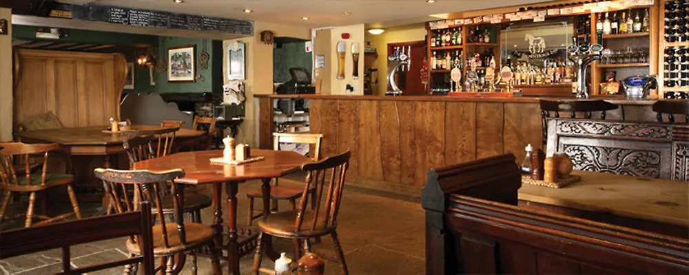 The Brown Horse