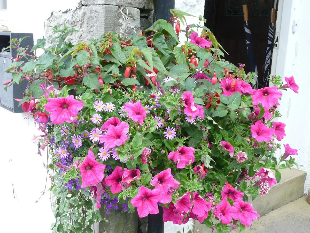 Glenville House - Adults Only - Incl Free Off-site Health Club With Swimming Pool, Hot Tub, Sauna & Steam Maison d'hôtes 4*