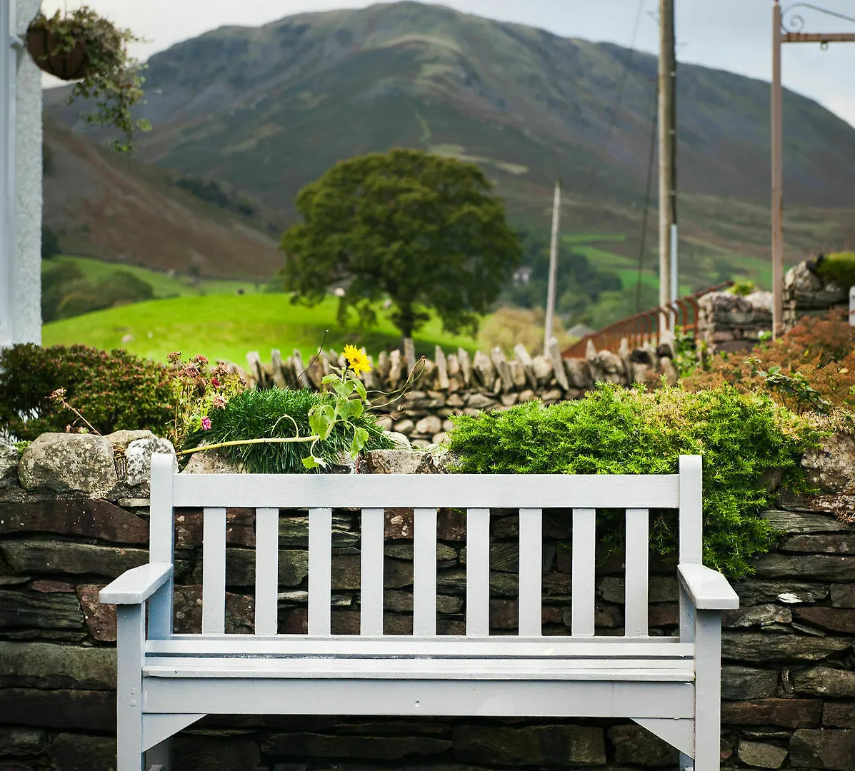 Πανσιόν Chestnut Grasmere